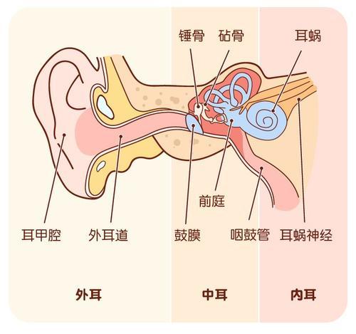 化脓性中耳炎|耳鼻喉科医生提醒：鼻窦炎治不好可能会引起中耳炎！