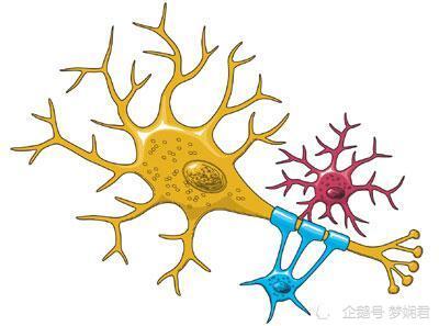 多巴胺是什麼,抑鬱的人為什麼要補充多巴胺?_騰訊新聞