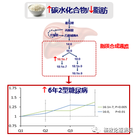 营养素|饮食油腻引起“三高”？可能是摄入脂肪的方法不对