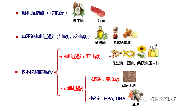 营养素|饮食油腻引起“三高”？可能是摄入脂肪的方法不对