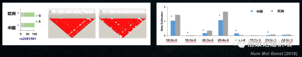 营养素|饮食油腻引起“三高”？可能是摄入脂肪的方法不对