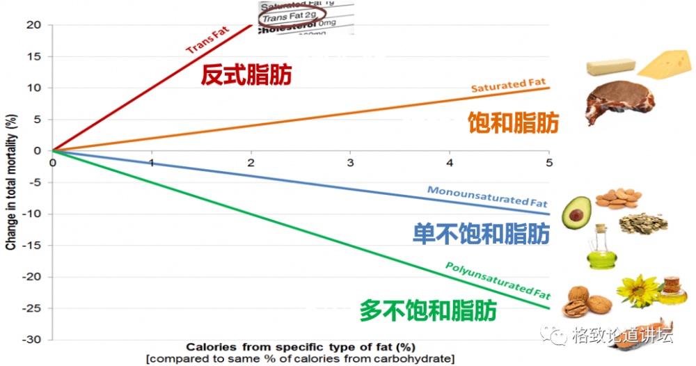 营养素|饮食油腻引起“三高”？可能是摄入脂肪的方法不对