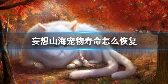 妄想山海宠物攻略宠物寿命怎么恢复寿命的恢复方法是什么