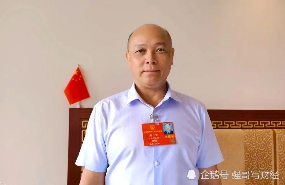 谢坚应继续加强整治网贷乱象出借人本金兑现希望到了