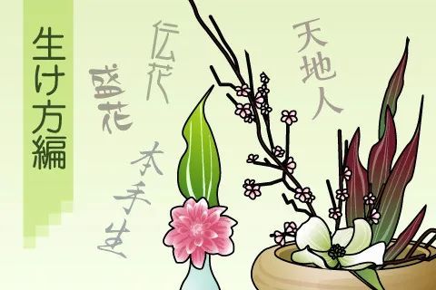 花道 插花的乐趣 腾讯新闻