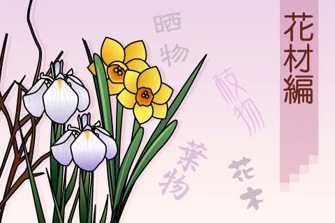 花道 插花的乐趣 腾讯新闻