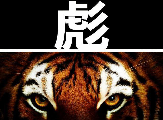 老虎|古人说“虎生三子，必有一彪”，那么彪是什么？和老虎有区别吗？