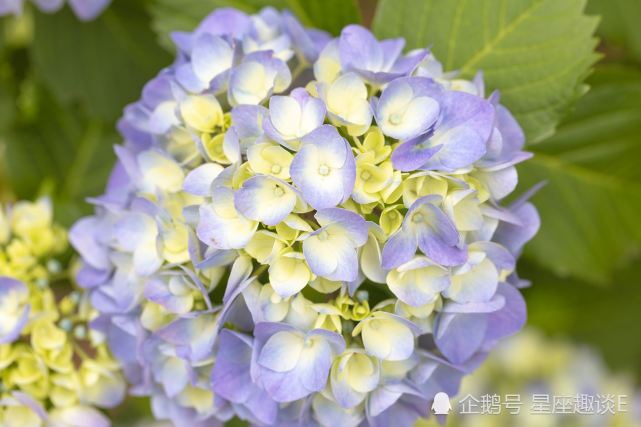 3月6日星座运势 不惧艰险 努力向前的四大星座 星座运势 摩羯座 天秤座 双鱼座 金牛座 星座