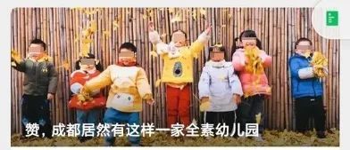 幼儿园|成都一幼儿园竟然给儿童吃全素食！该管管了