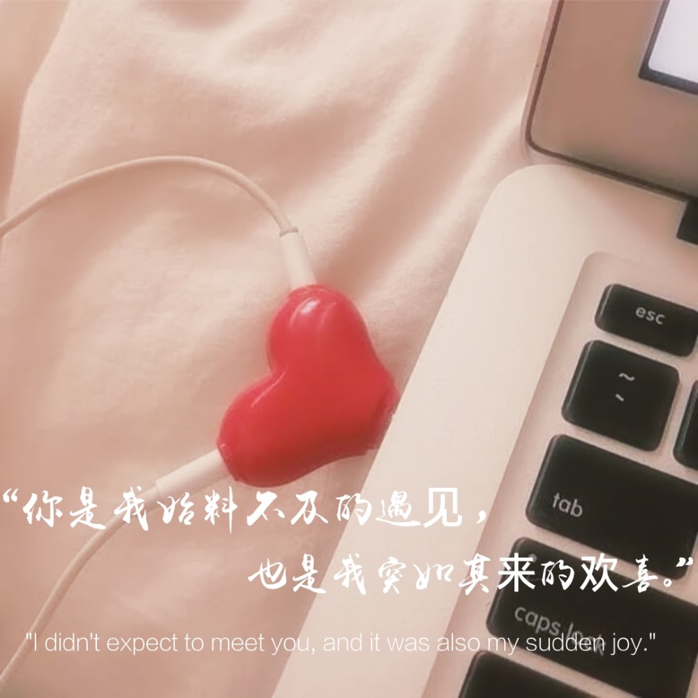 温柔的小众情话我是藏匿于世界偷偷喜爱你的小鬼