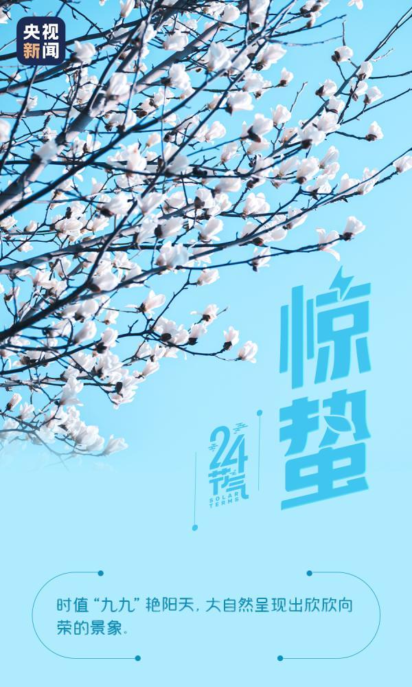 今日惊蛰春雷乍响惊醒人间芳华