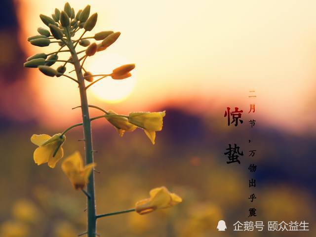 惊蛰养生忙方法逐个数