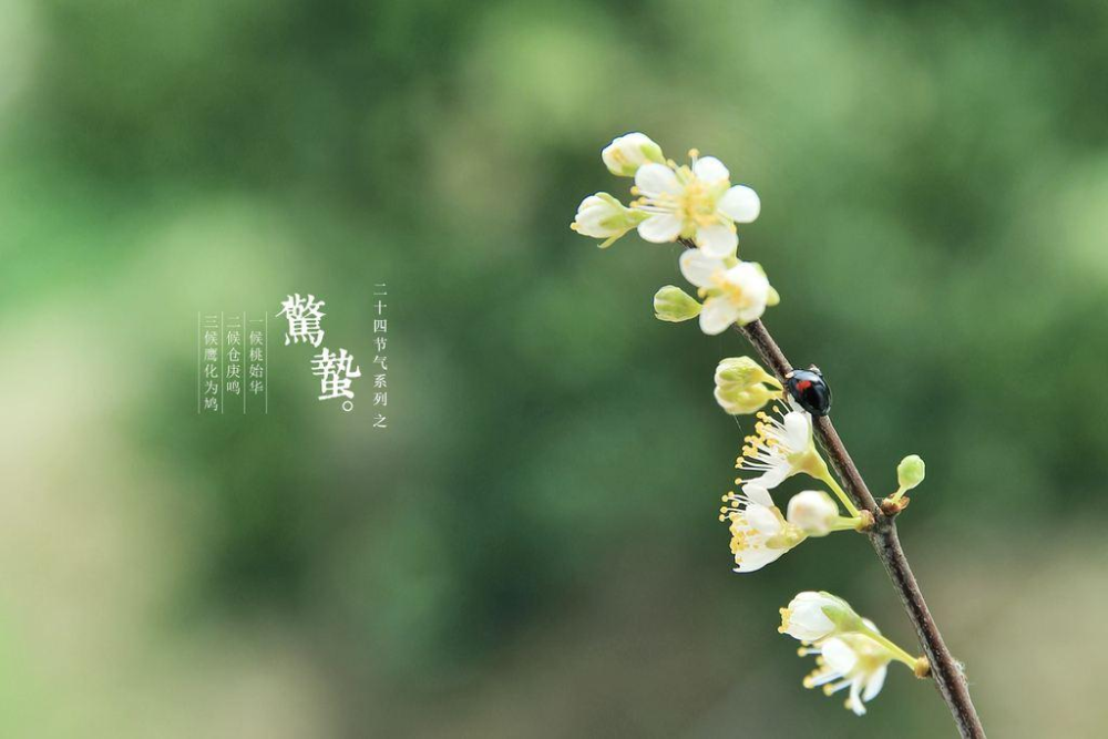 惊蛰|今日惊蛰，牢记“4做2不做”，前辈的经验，为春季健康打下基础