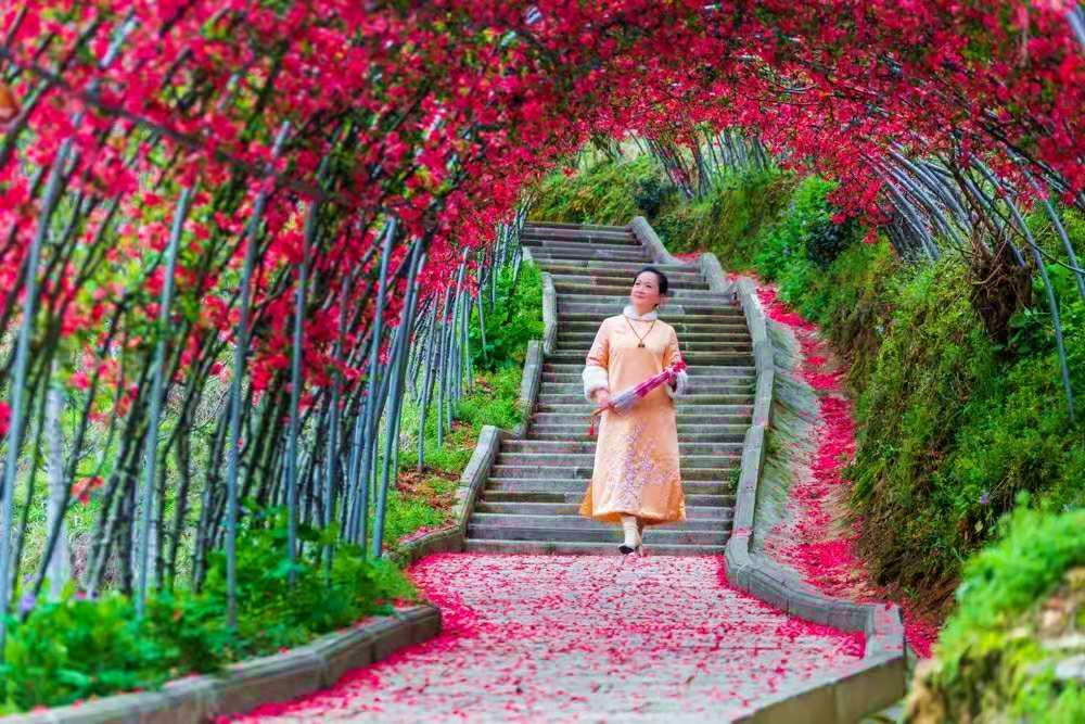 浪漫花海庆 三八 第四届百花文化旅游节来啦 腾讯新闻