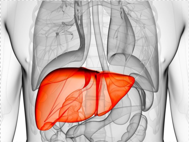 酒精性脂肪肝|肝病医生直言：别把脂肪肝不当病，不重视小心后悔
