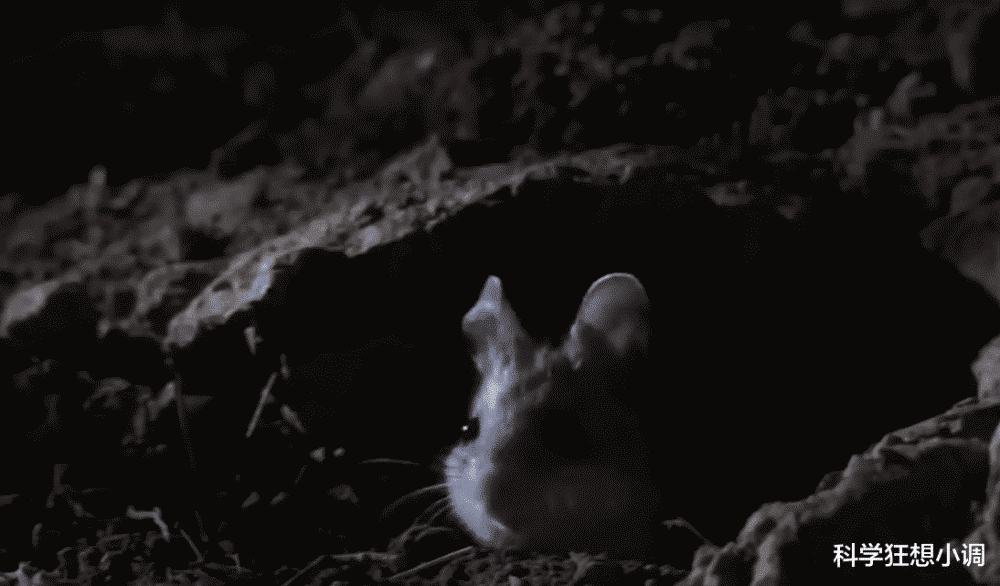 木卫二|如果木卫二取代月球会发生什么？科学家：地球会变得很可怕！