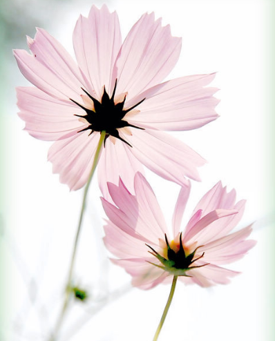 3月上旬开始 4属相苦尽甘来 横财旺盛 生活越来越精彩 腾讯新闻