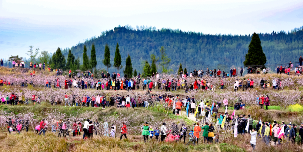 充国香桃源擦耳桃源白岩寨(营山县小桥镇)安溪潮村(仪陇县新政镇)险岩