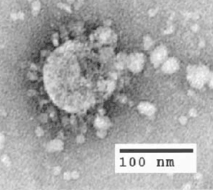 消毒|空气可以消毒吗？如何操作？