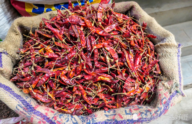 天等指天椒:刺激你的味蕾,唤醒你的食欲