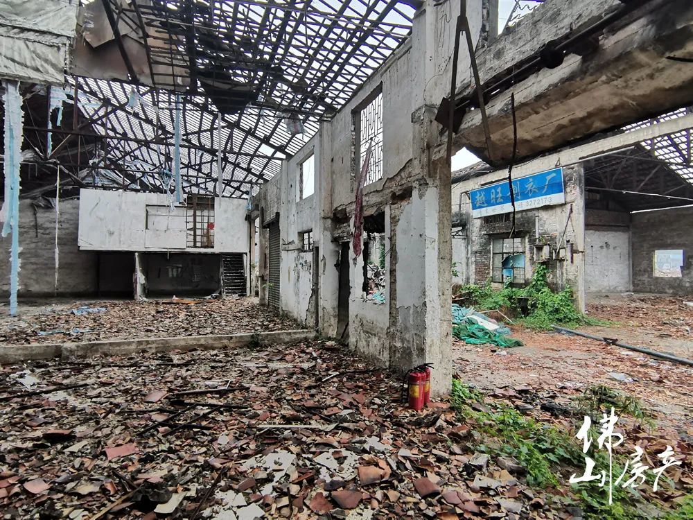 拆掉整条果房村!仅10个月,创佛山旧改新纪录_腾讯新闻