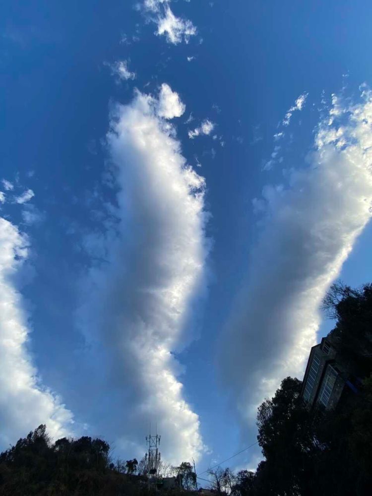 水汽|怪事？浙江温州突现奇特“春卷云”，分析：或是连阴雨前兆