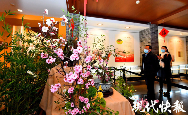 讲 梅 故事 中山陵园管理局廉政主题展开展 腾讯新闻