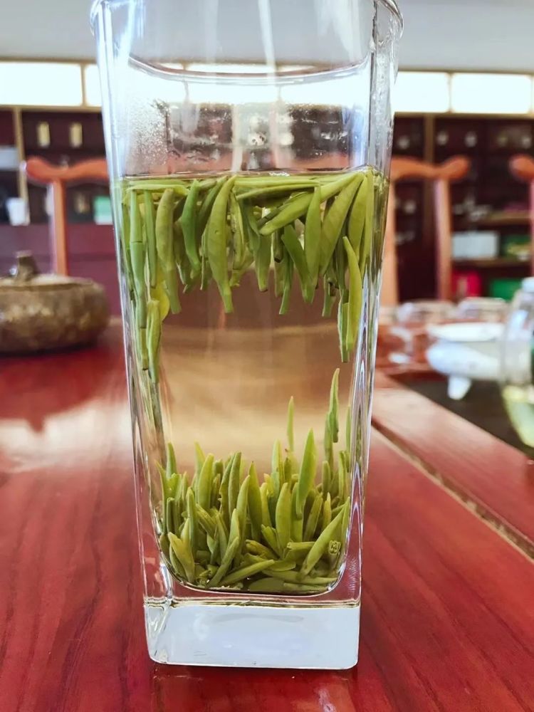 秀山茶葉的做法(重慶秀山茶是什麼茶)