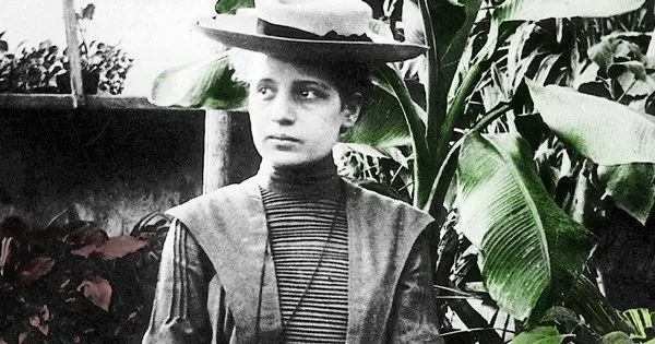 莉泽·迈特纳|哪些女性对人类作出巨大贡献，却在历史上被忽略了？