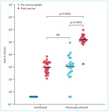 疫苗|感染过新冠，打疫苗还有用吗？两篇《柳叶刀》研究给答案！