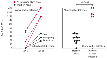 疫苗|感染过新冠，打疫苗还有用吗？两篇《柳叶刀》研究给答案！