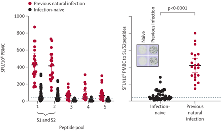疫苗|感染过新冠，打疫苗还有用吗？两篇《柳叶刀》研究给答案！