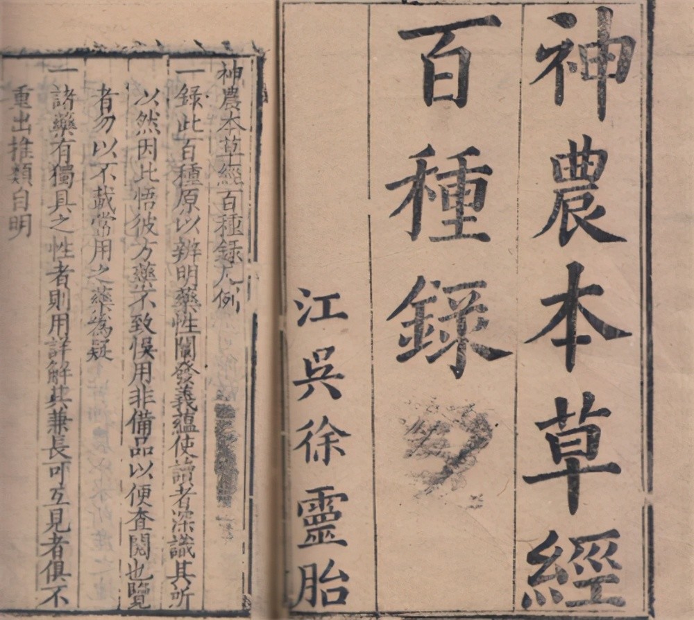 "太岁性平,苦,无毒,具有补脾润肺,补肾益肝"而药学鼻祖《神农本草经》