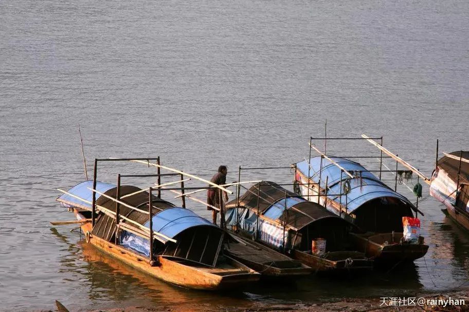 陵水新村港 疍家人的水上田园 腾讯新闻