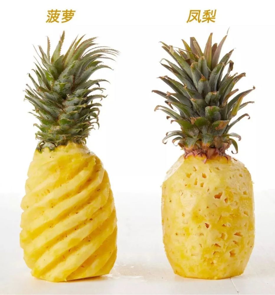 大陆离不开台湾凤梨海南水果笑了