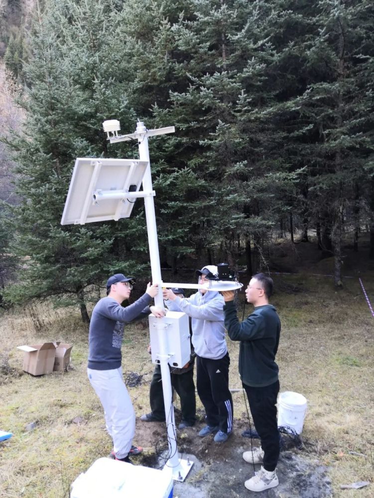 电子科技大学|瑞思拜！电子科大女教授喜提Science正刊