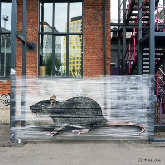 他在保鲜膜上涂鸦,创作出3d插画作品,偶遇一定会吓你一跳