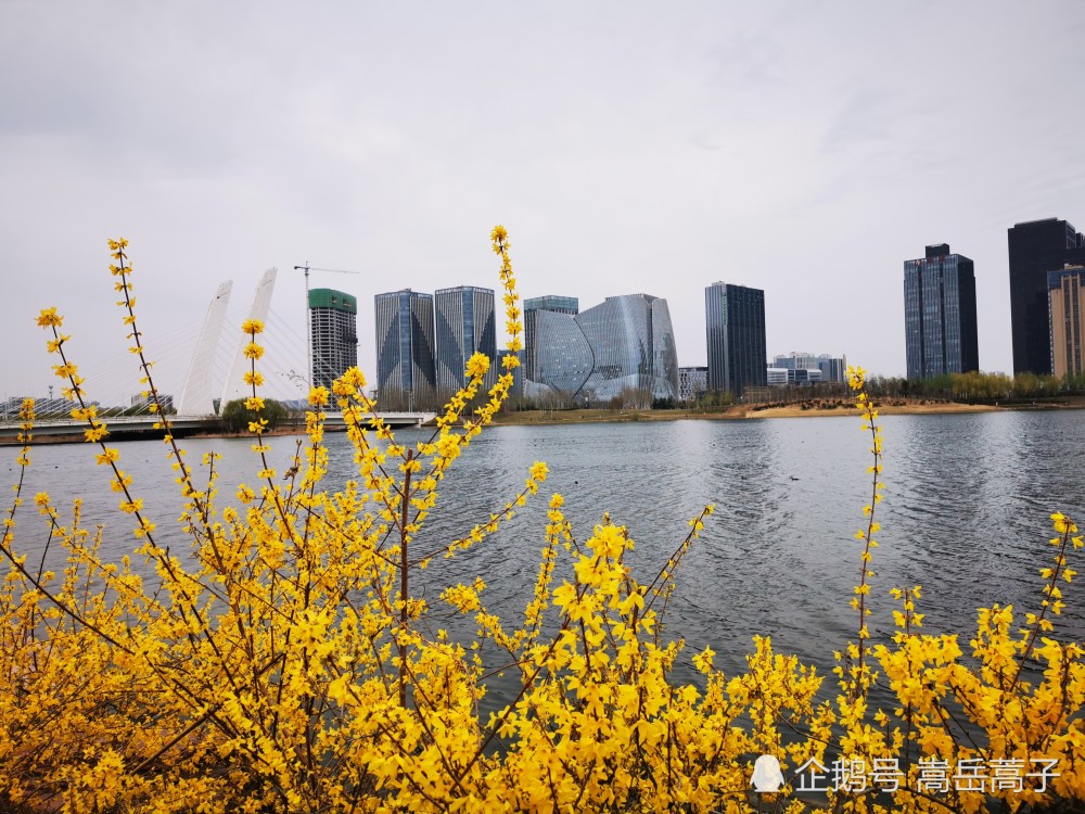 牛年春雷伴梅雪柳风花雨催惊蛰 腾讯新闻