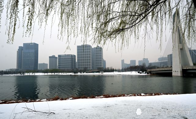 牛年春雷伴梅雪柳风花雨催惊蛰 腾讯网