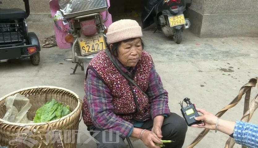 蚕豆|广南蚕豆虽好吃，但要警惕蚕豆病！