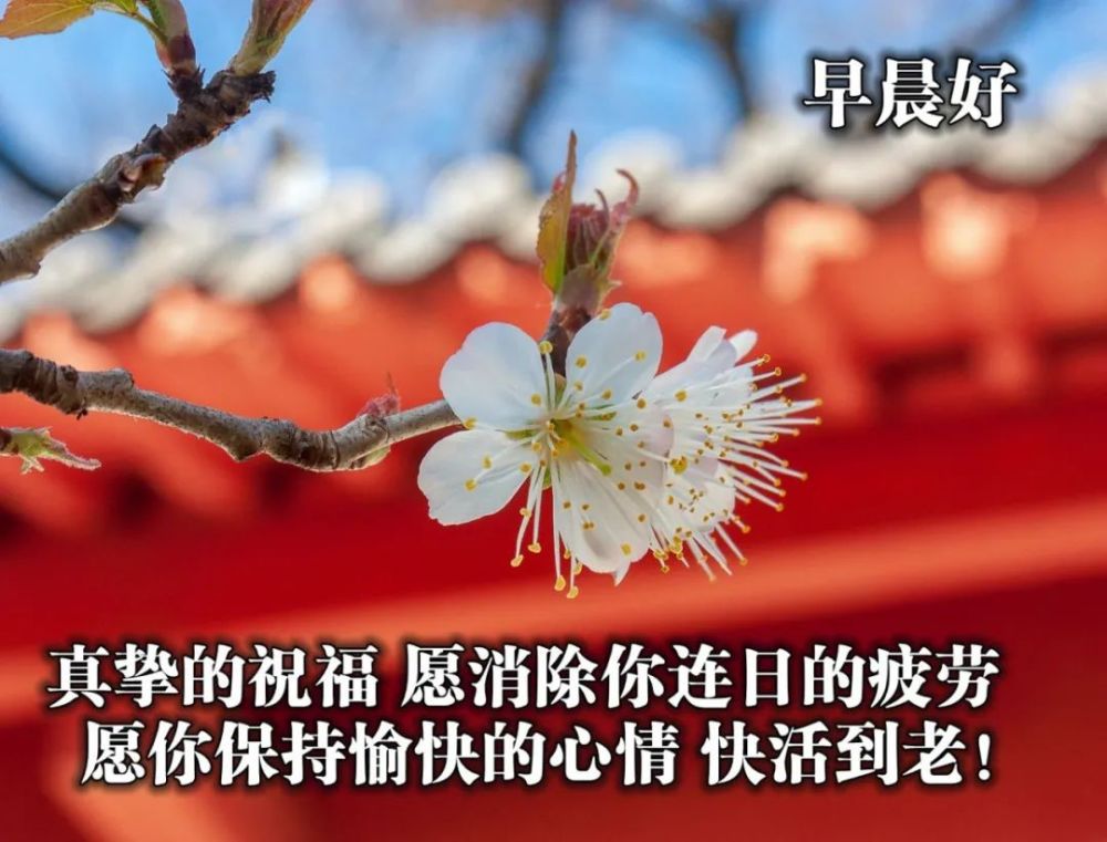 2021最好看的早安問候圖片 送給朋友的暖心祝福圖片_騰訊新聞