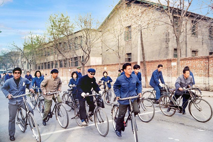 草原|知青回忆：草原野狼会用尾巴赶猪，牧民可以用长袍“打狼”