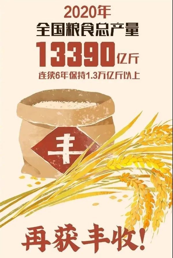 种子|中国人均粮食竟如此之多！连续17年大丰收