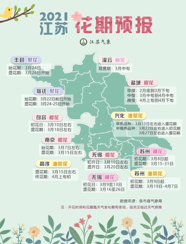 收藏 21年江苏花期预报出炉 兴化油菜花最佳观赏日期是 兴化 江苏 油菜花 樱花 南京