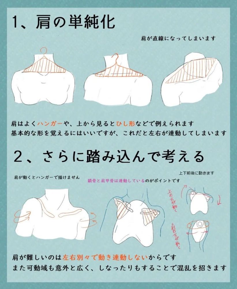 肩颈关系绘画教程 腾讯新闻