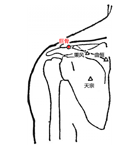 巨骨穴:瘰疬,瘿气_腾讯新闻