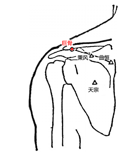 巨骨穴:瘰癧,癭氣_騰訊新聞