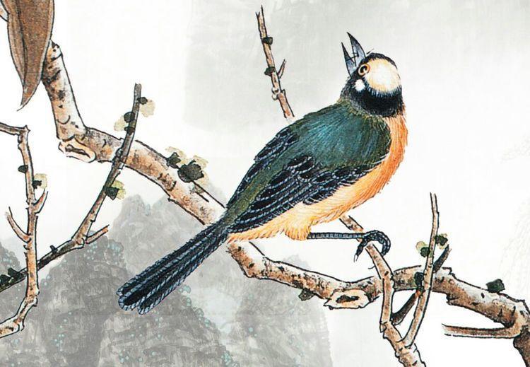 指的是古蜀国的蜀帝杜宇,死了以后思念故国,化成一只杜鹃鸟,每逢春回