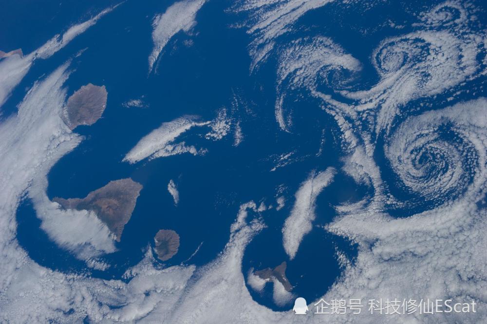 氧气|包括人类在内的所有动物将在10亿年后窒息而亡？氧气为什么会消失