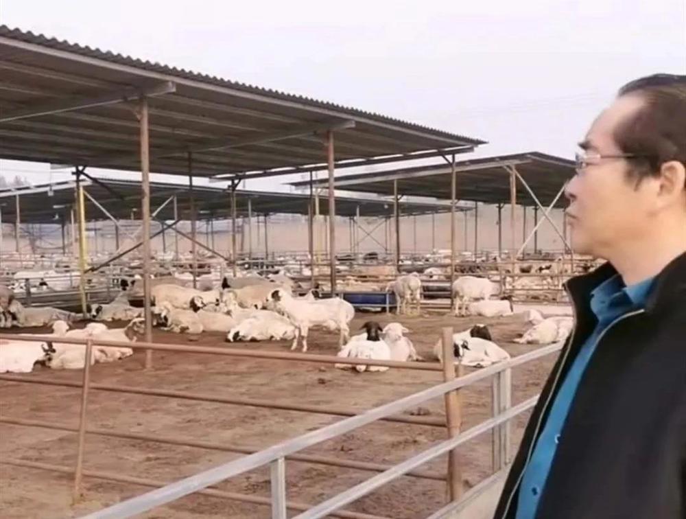 维生素d|羊的4种维生素需要，记住养羊多赚钱丨养羊学堂